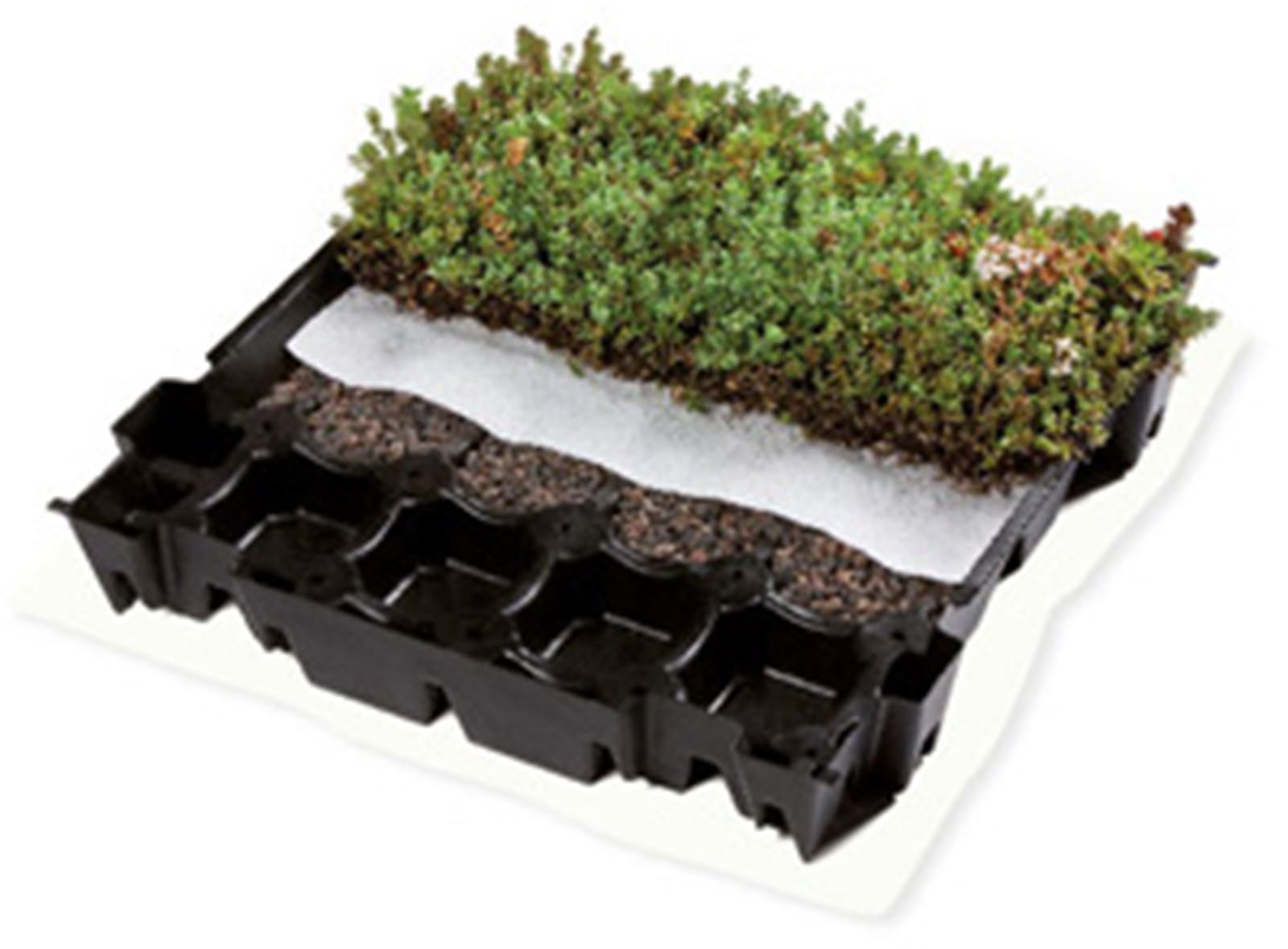 Cassette végétalisée Sedum Herbaroof (1/4)