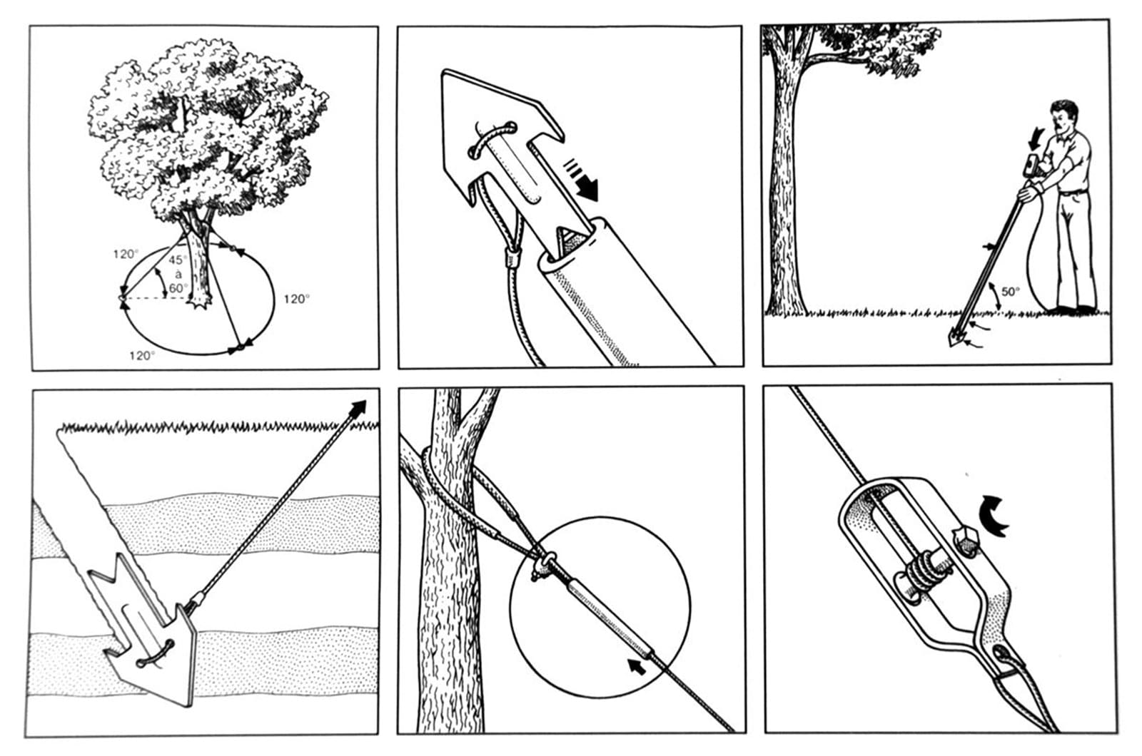 Kit de haubanage Toltex pour couronne d’arbre (1/2)