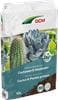 Terreau pour cactus et plantes grasses avec lave