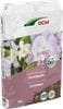 Terreau spécial orchidées avec écorces