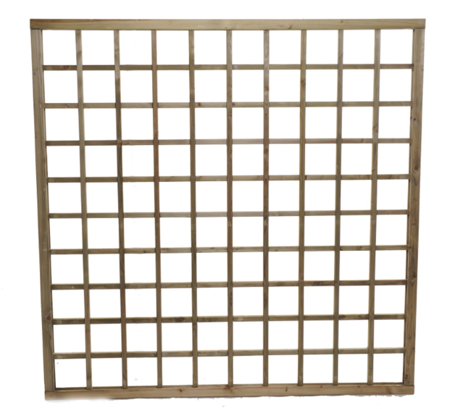 Straight metal trellis (1/2)